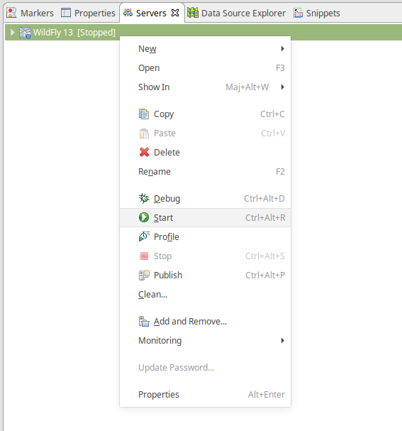 Lancement du serveur Wildfly dans Eclipse